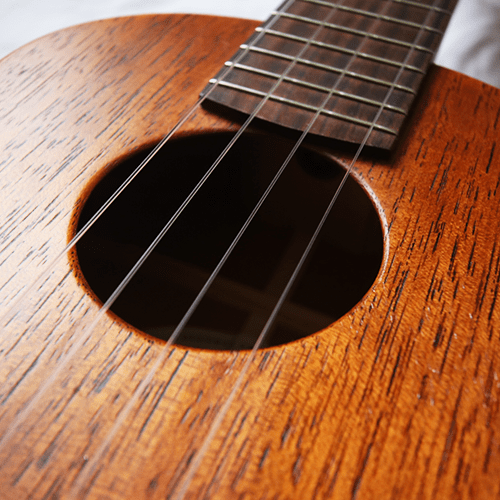 The four strings of a ukulele
